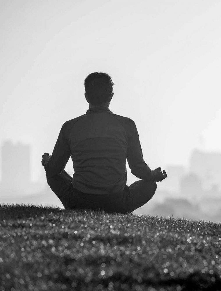 Поймать большую рыбу фото книги 7