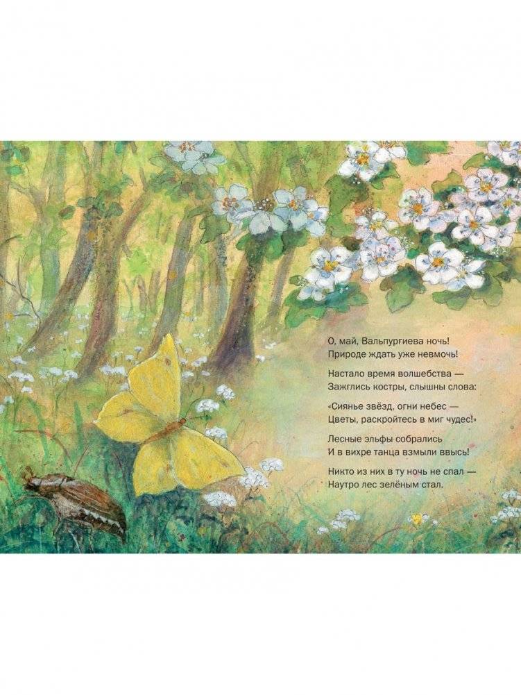 Летим в страну эльфов фото книги 3