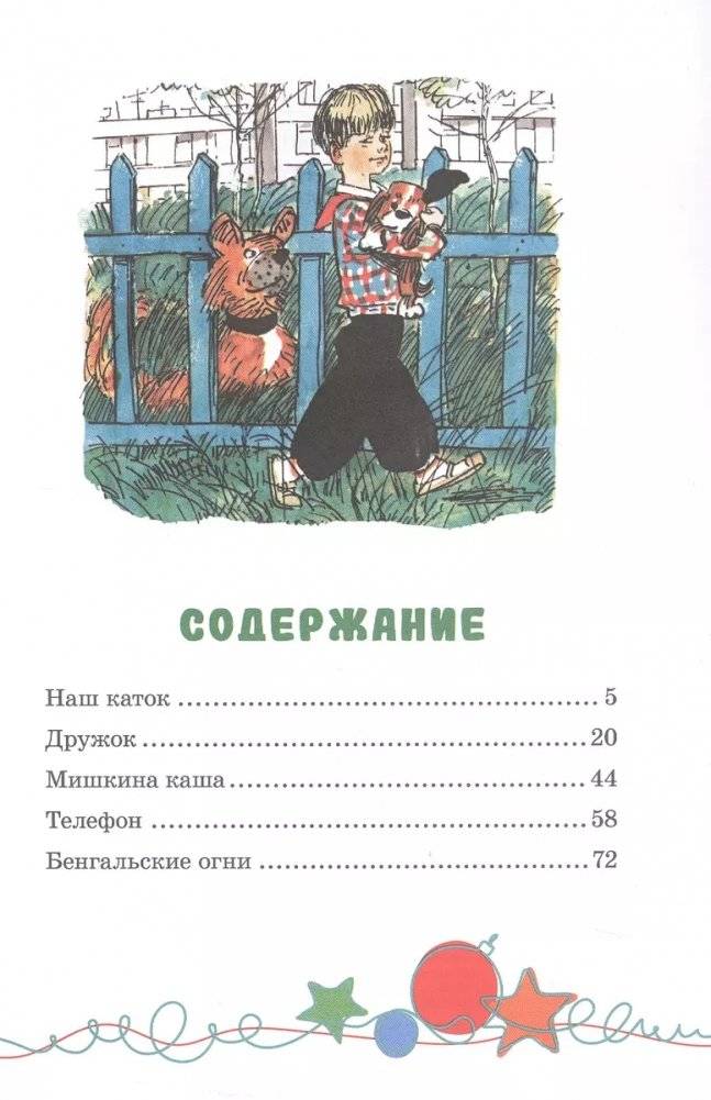 Наш каток фото книги 2