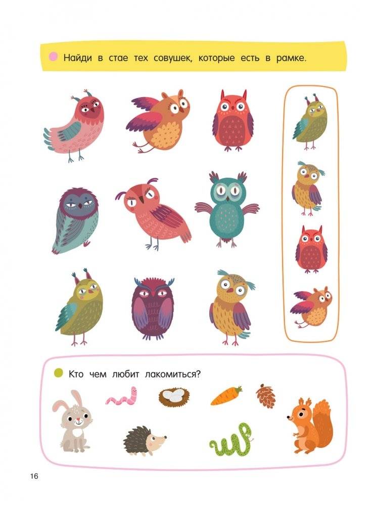 256 увлекательных заданий на каждый день фото книги 16