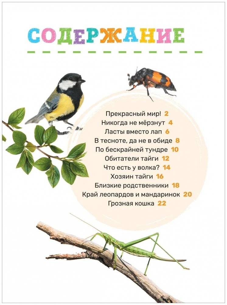 Животные. Первая энциклопедия малыша фото книги 2