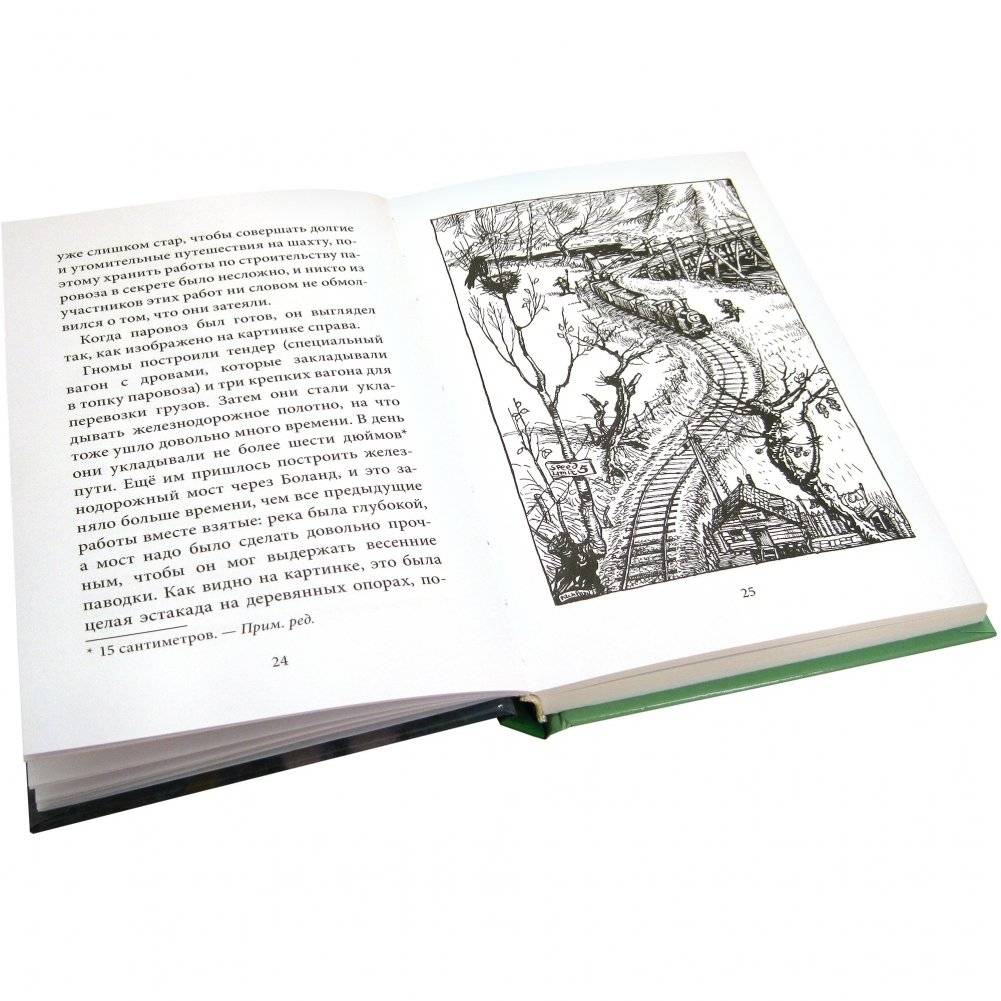 Гномы Боландского леса фото книги 3