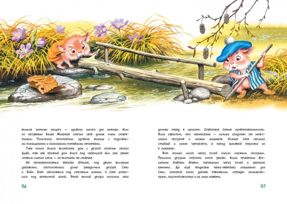 Большой Кыш фото книги 4