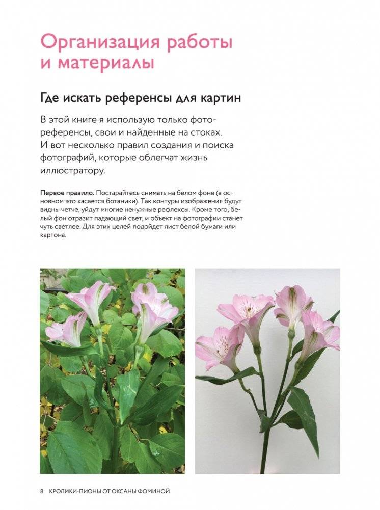 Кролики-пионы от Оксаны Фоминой. Авторская акварельная иллюстрация за 14 уроков фото книги 8