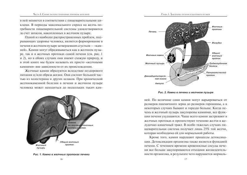 Удивительное очищение организма фото книги 7