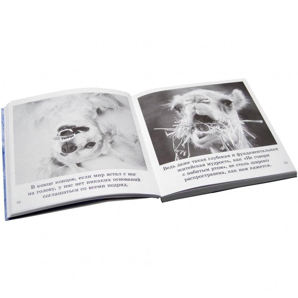 Смысл жизни фото книги 2