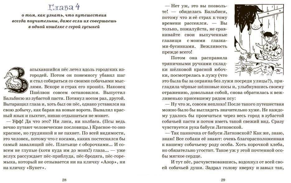 Приключения тряпичной Бальбиси фото книги 3