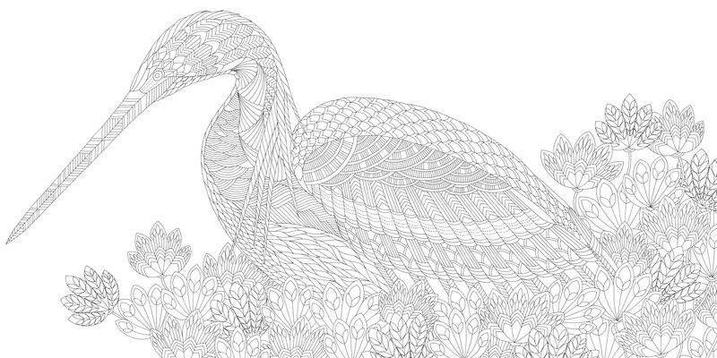 Дивные птицы. Книга для творчества и вдохновения фото книги 4