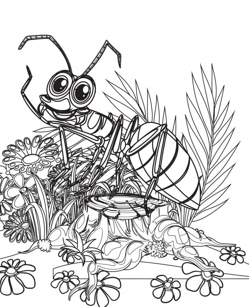 Раскраски из сказки. Насекомые фото книги 8