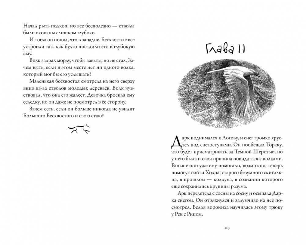 Хроники темных времен. Книга 9. Волчья погибель фото книги 3