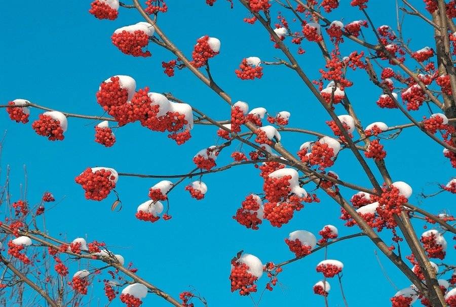 Регионы Беларуси. Минская область. Том 5. Книга 3 фото книги 4