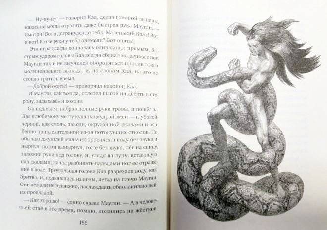Маугли фото книги 2