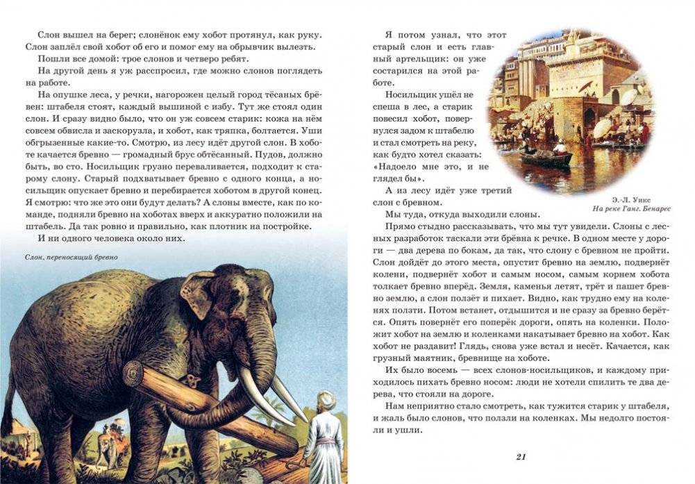 Вечер. Почта. Про слона и другие рассказы для детей фото книги 4