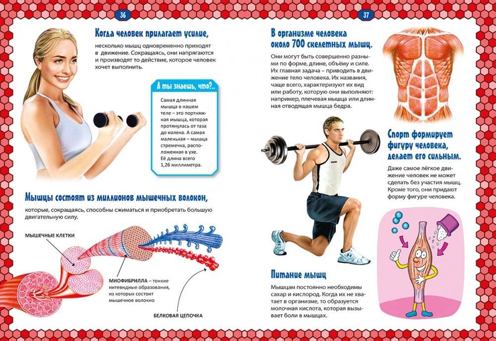 Тело человека фото книги 4