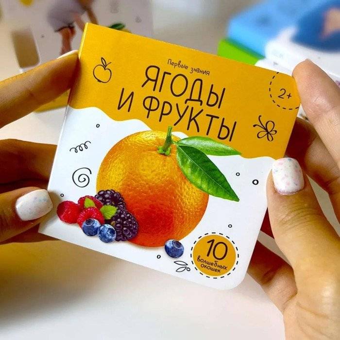 Шоубокс "Первые знания". Набор книг с окошками фото книги 4