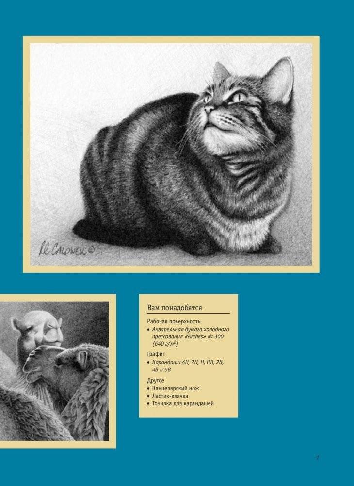 Реалистичные рисунки животных. Дикие звери, домашние питомцы и другие представители фауны фото книги 3