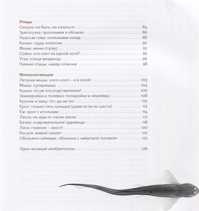 Вижу насквозь. Удивительные рентгеновские снимки животных фото книги 7