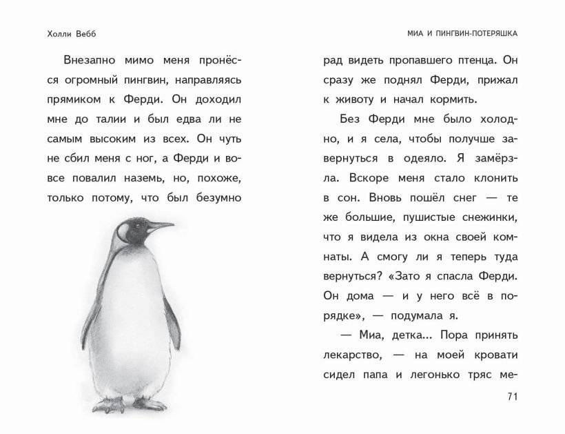 Пора снежных историй фото книги 5