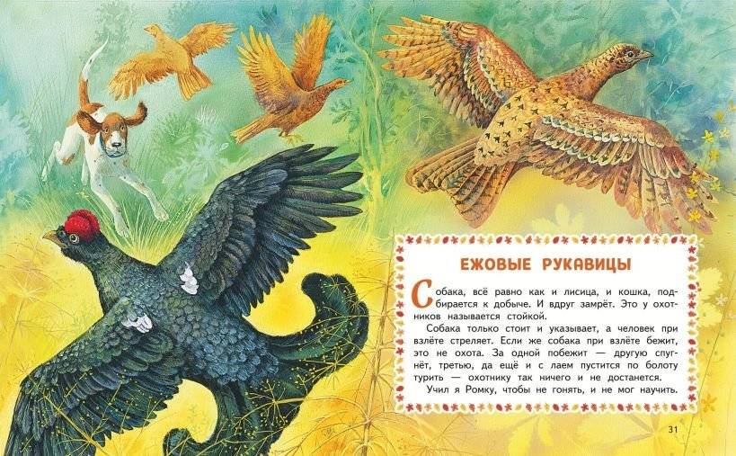 Лесные истории. Сказки и рассказы для детей (ил. М. Белоусовой) фото книги 2
