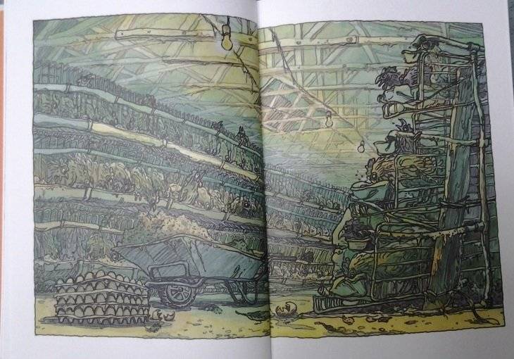 Курочка, которая мечтала летать фото книги 3