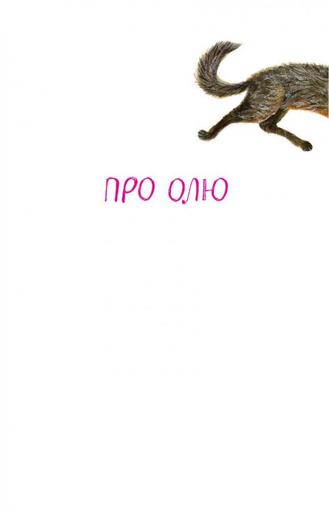 Как Колины родители получили двойку по русскому всего за одну ошибку фото книги 6
