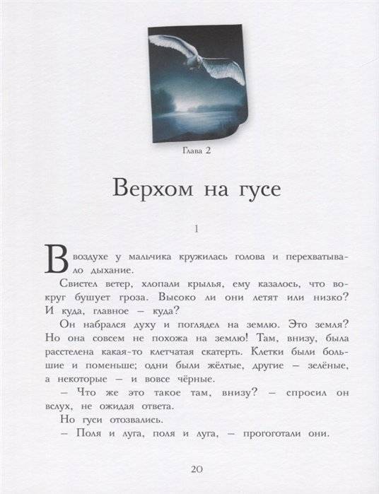 Чудесное путешествие Нильса с дикими гусями. 100 лучших книг фото книги 3