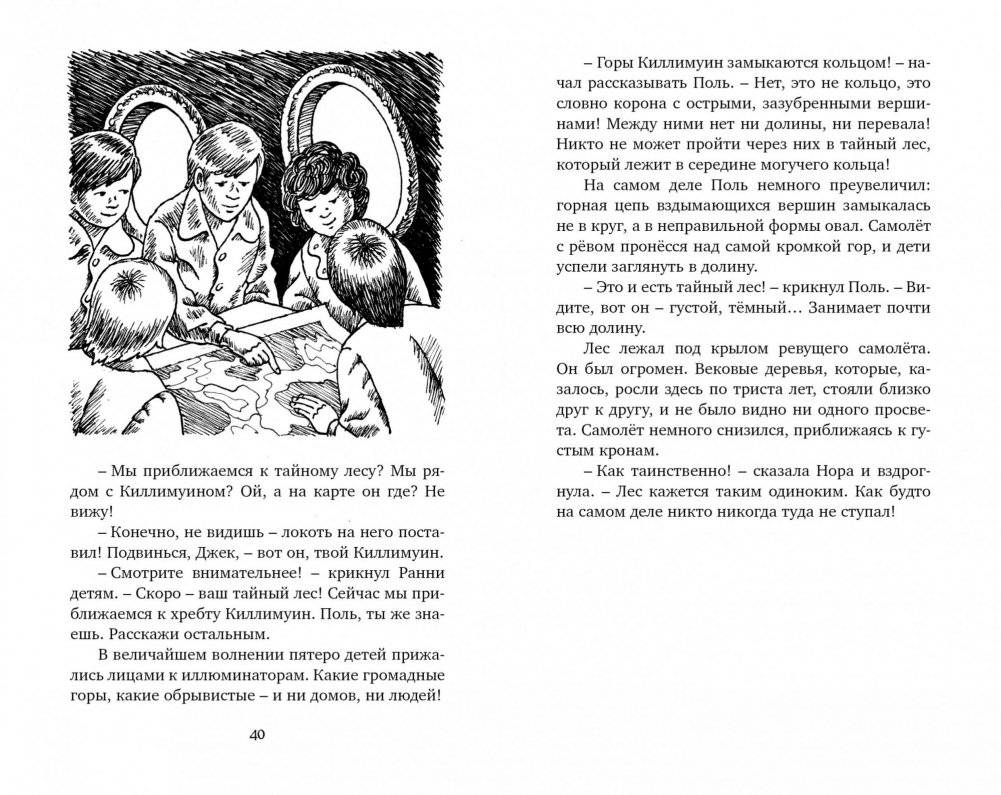 Тайна дремучего леса фото книги 5