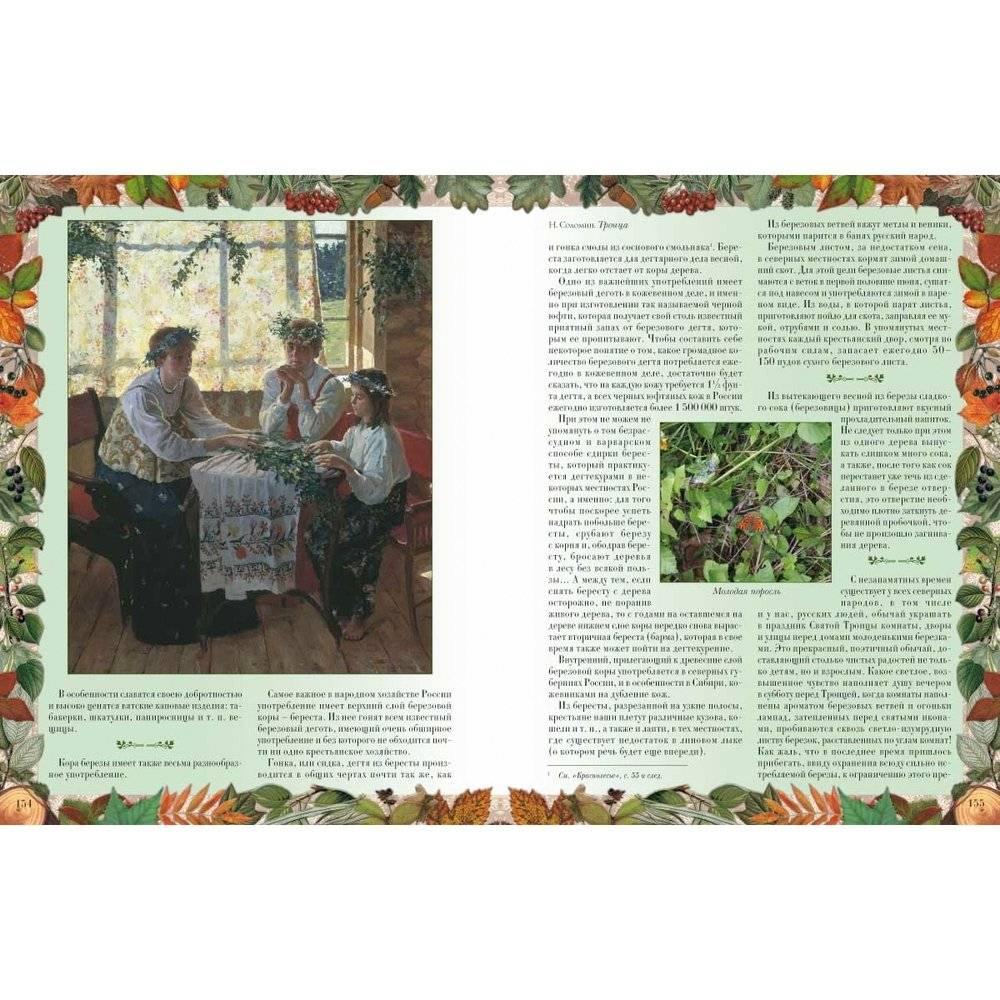 Беседы о русском лесе фото книги 5