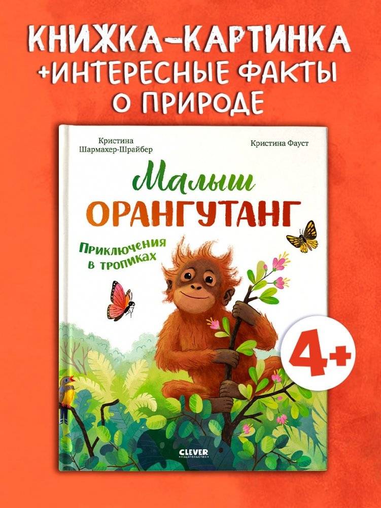 Малыш орангутанг. Приключения в тропиках фото книги 2