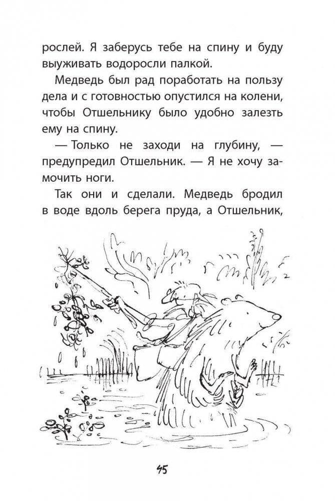 Отшельник и Медведь фото книги 3