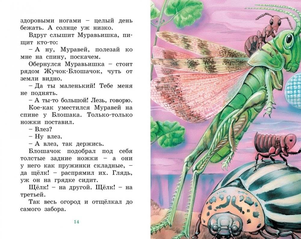 Как Муравьишка домой спешил фото книги 5