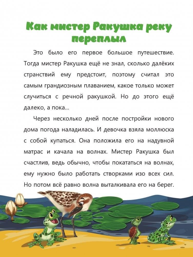 Мистер Ракушка фото книги 6