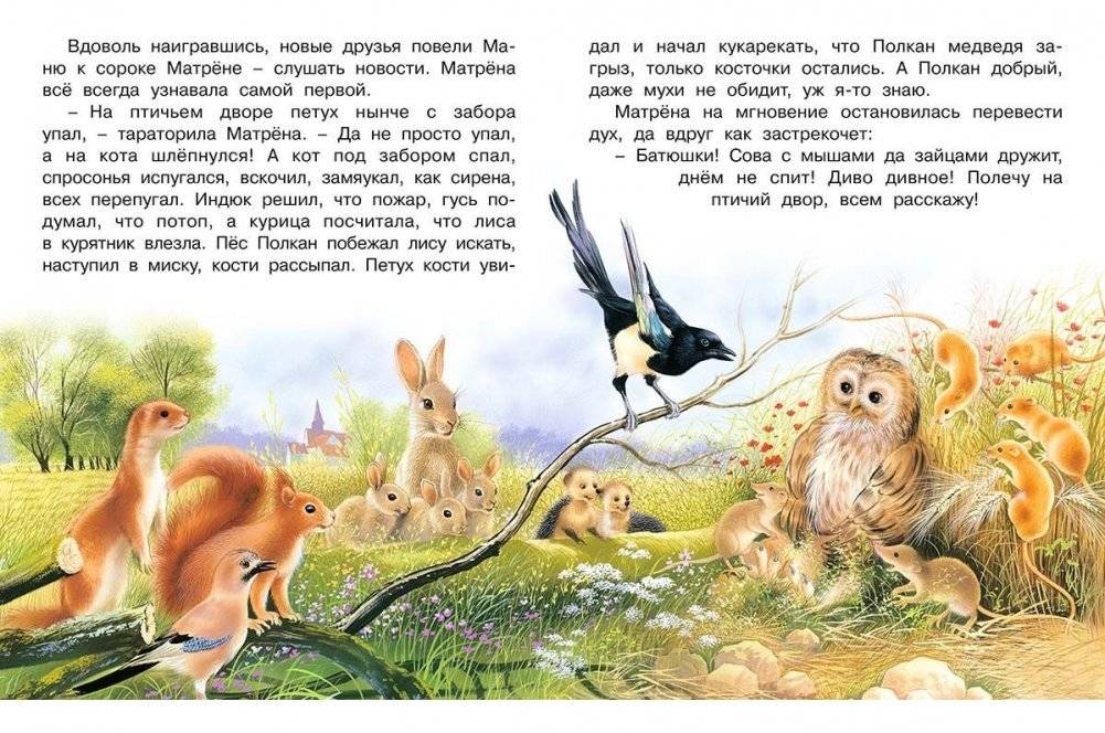 Необыкновенная Сова Маня фото книги 3