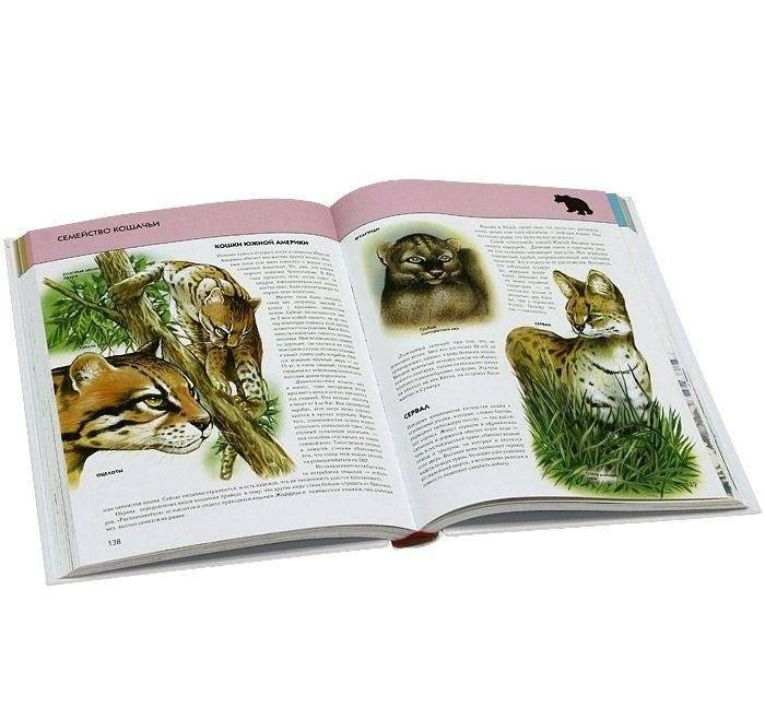 Животные. Полная энциклопедия фото книги 2
