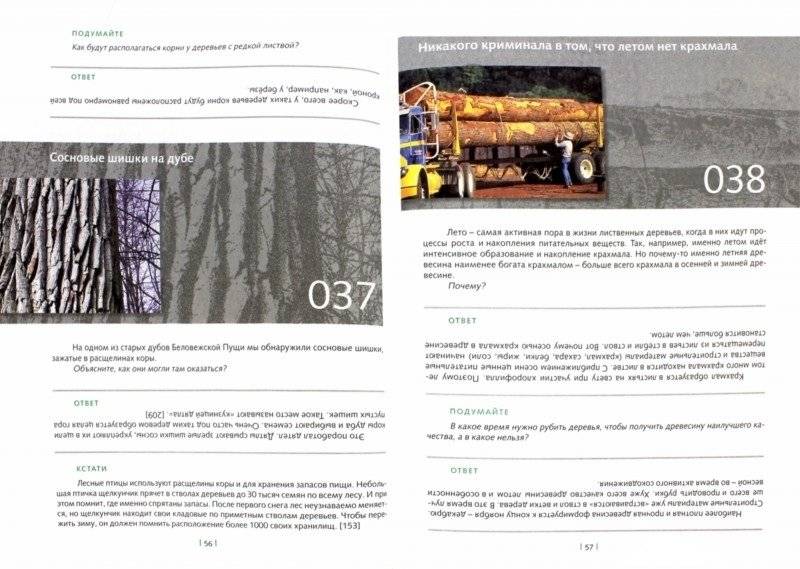 Необычное в обычном. 50 креативных решений фото книги 7