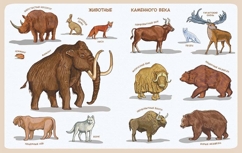 Каменный век. Детская энциклопедия фото книги 4