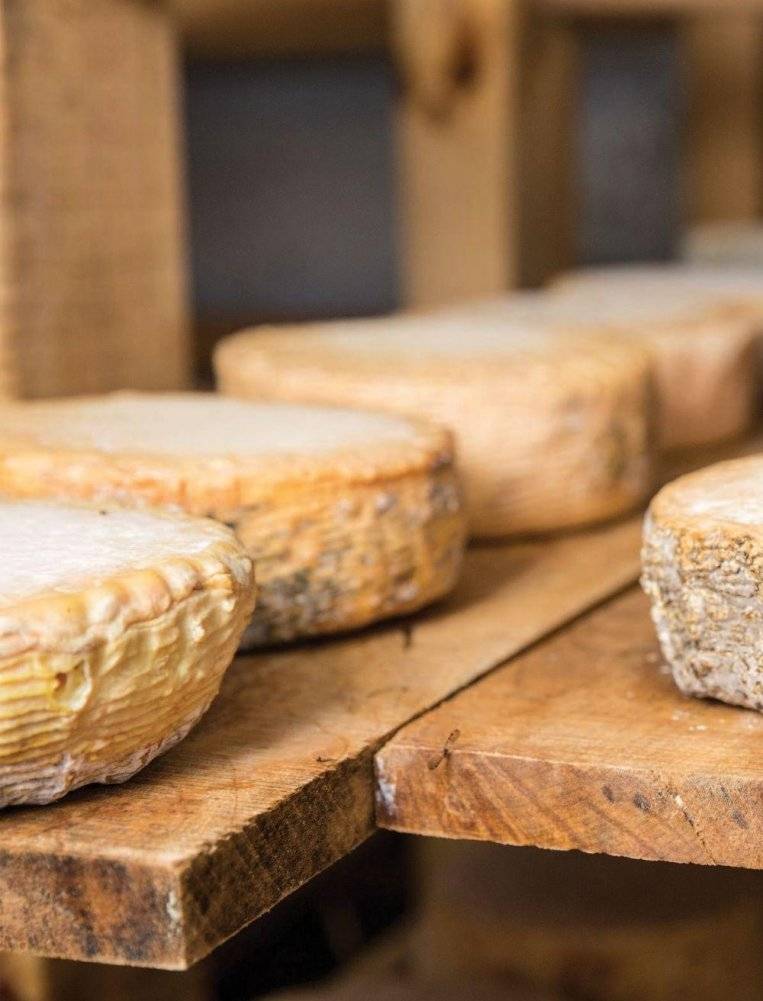 Искусство натурального сыроделия фото книги 2