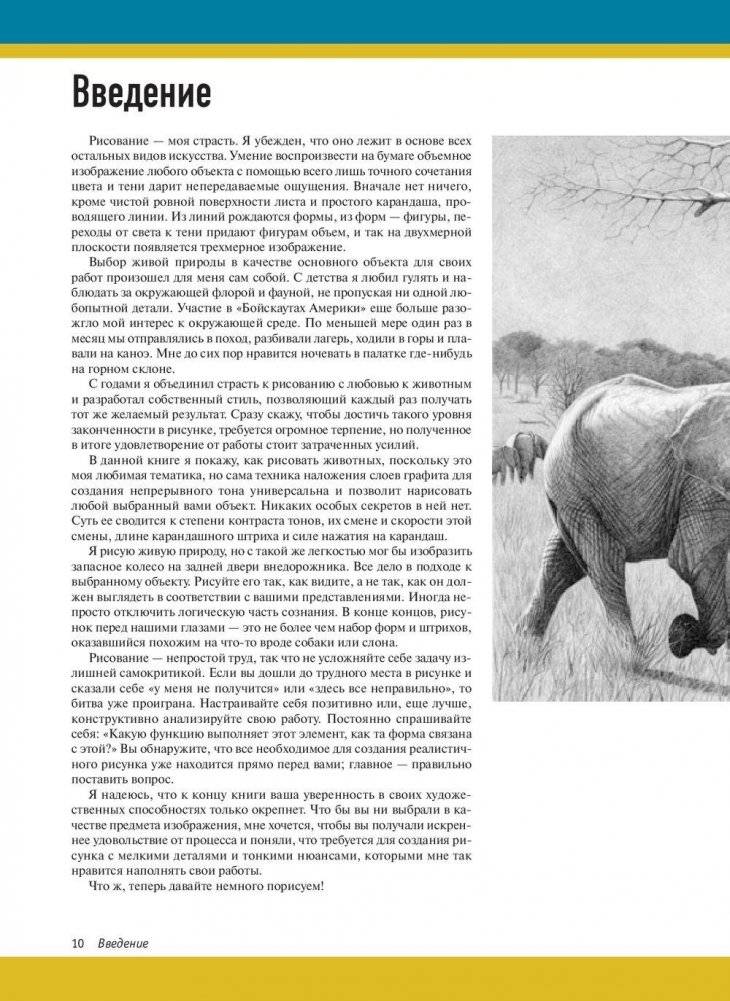 Реалистичные рисунки животных. Дикие звери, домашние питомцы и другие представители фауны фото книги 6