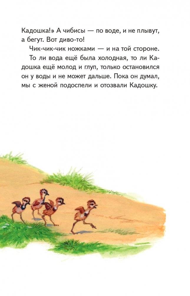 Рассказы о природе (ил. С. Ярового) фото книги 13