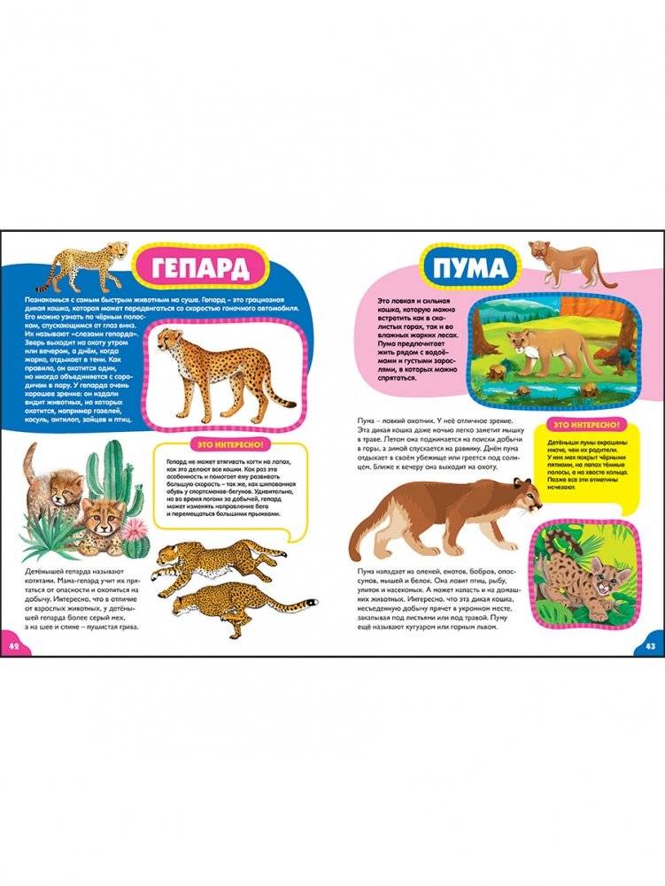 Животные для малышей. Первая энциклопедия для самых маленьких фото книги 7