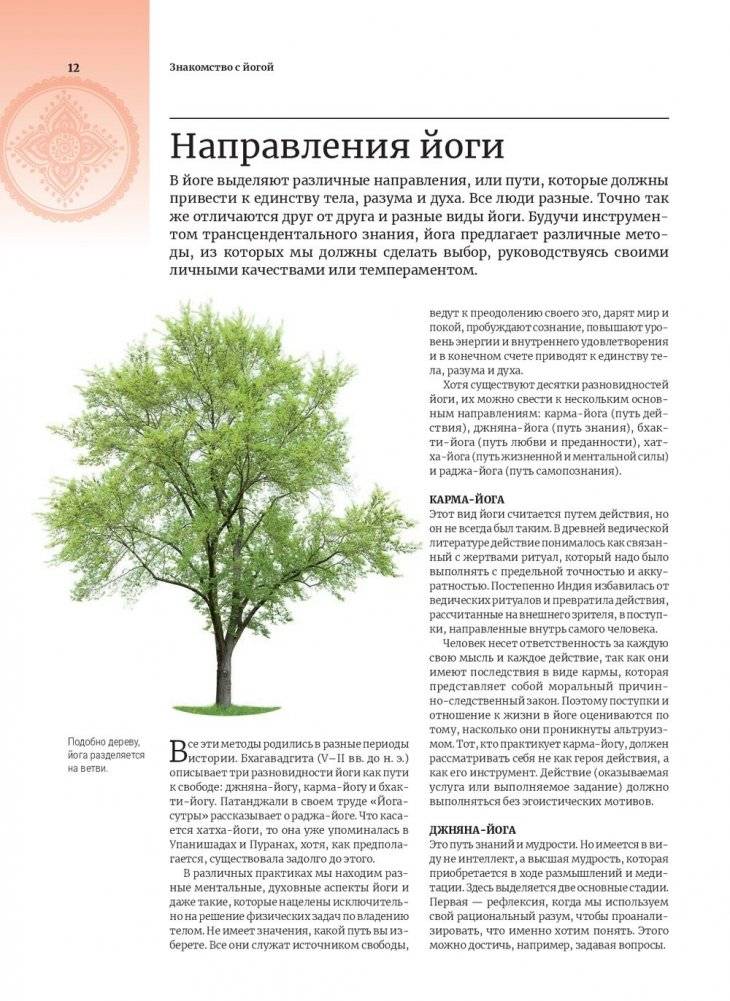 Анатомия и йога фото книги 9