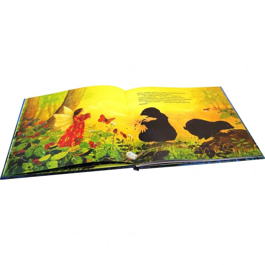 Маленькая фея загадывает желание фото книги 7