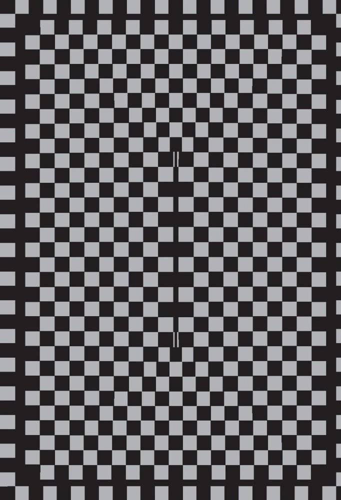 Битва за храм дракона. Книга 4 фото книги 13