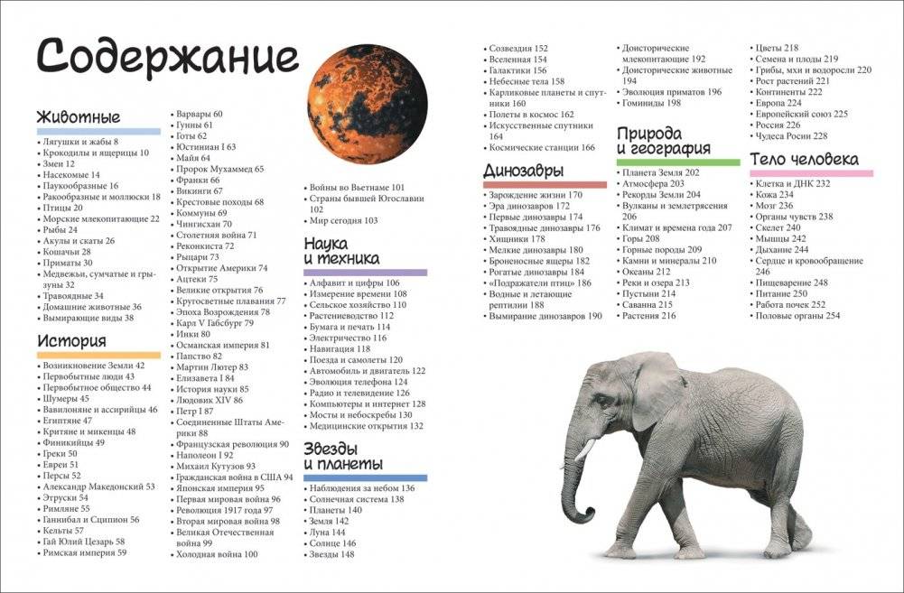 Большой подарок школьнику фото книги 3