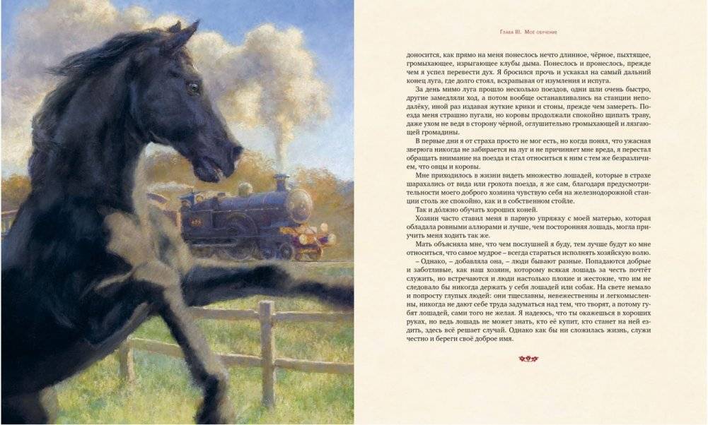 Чёрный красавчик фото книги 3
