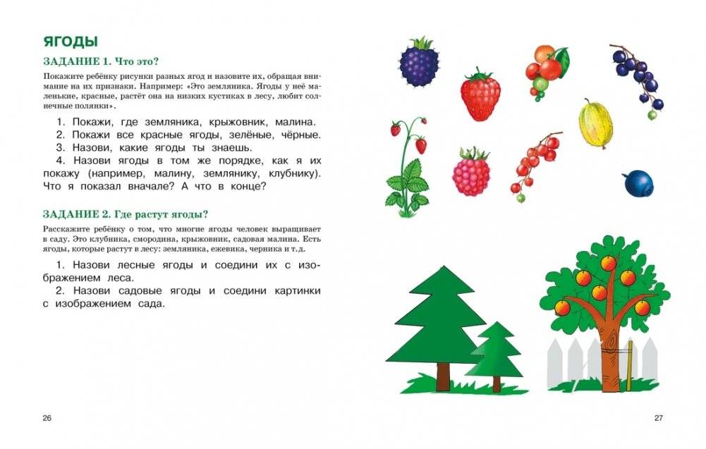 Развитие речи. Уроки с логопедом фото книги 5