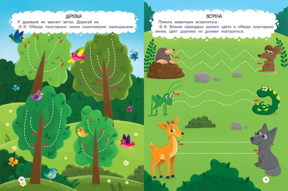 Лес. Книжка-раскраска фото книги 2