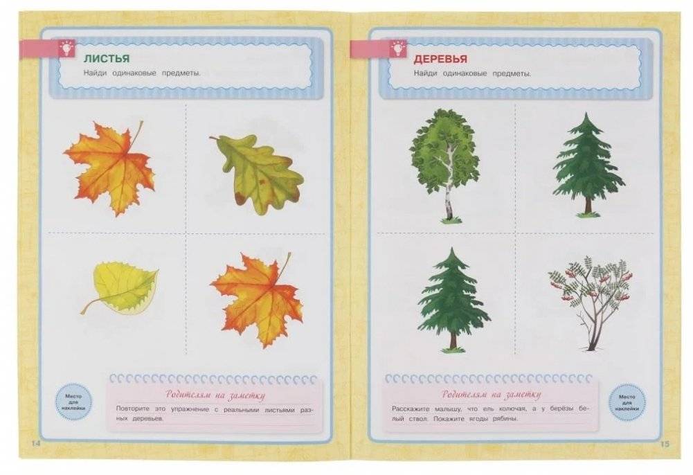 Годовой курс с наклейками, Школа Жуковой. Подбери пару фото книги 2