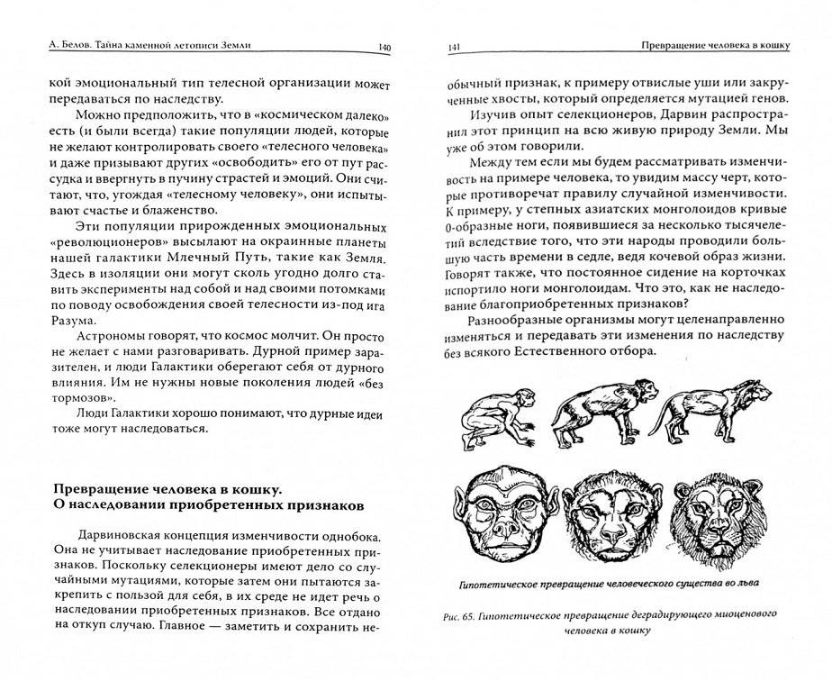 Тайна каменной летописи Земли. Секретная палеонтология фото книги 2