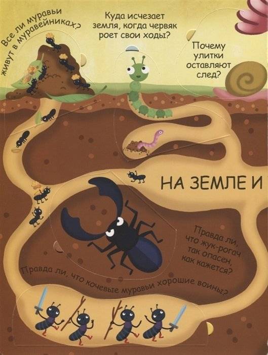 Волшебные окошки. Микромир фото книги 5